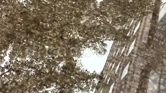 城市雨坑与雨滴的倒影视频的预览图