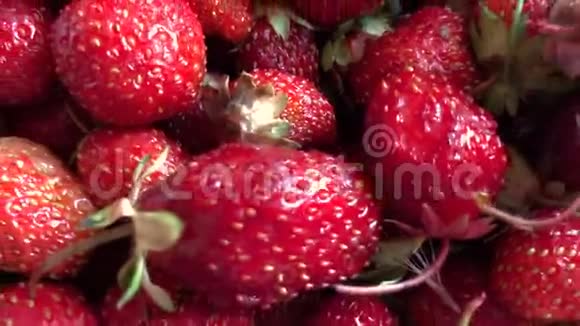 红色多汁的大草莓视频的预览图