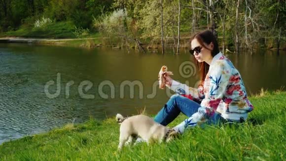 轻松小吃在风景如画的公园与湖一个女人坐在草地上一只热狗在吃她旁边是一个视频的预览图