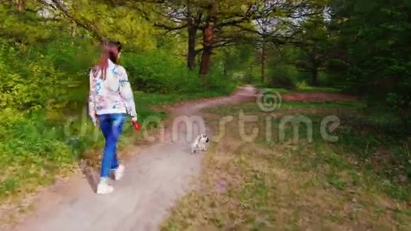 一个年轻的女人正在森林里和一只狗散步背面视频的预览图