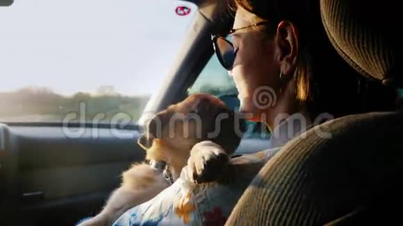 和你最喜欢的狗一起旅行一只小狗一个坐在副驾驶座上的女人正在开车抱着一只小狗视频的预览图
