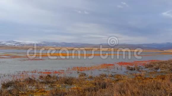 美丽的湖光山色秋天的水和五颜六色的植物雪山和多云的天空背景加海视频的预览图