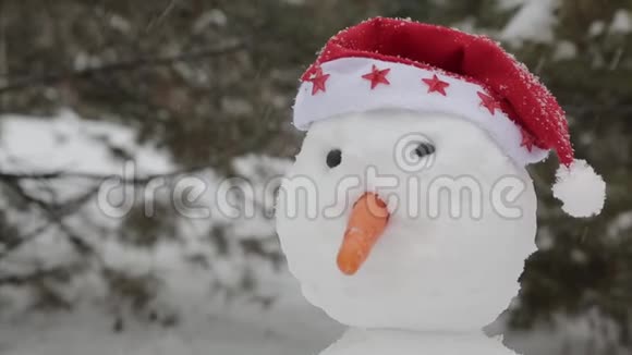 快乐的雪人站在雪地里视频的预览图