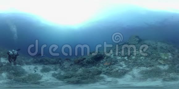 菲律宾珊瑚礁上的360伏曼塔雷视频的预览图