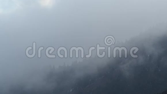 薄雾在黄昏的时候吹过山松树林从晴到全覆盖视频的预览图