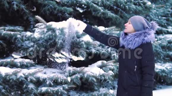 在一个积雪覆盖的冬季公园里雪从树上落下视频的预览图