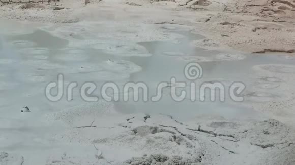 黄石国家公园热开水视频的预览图