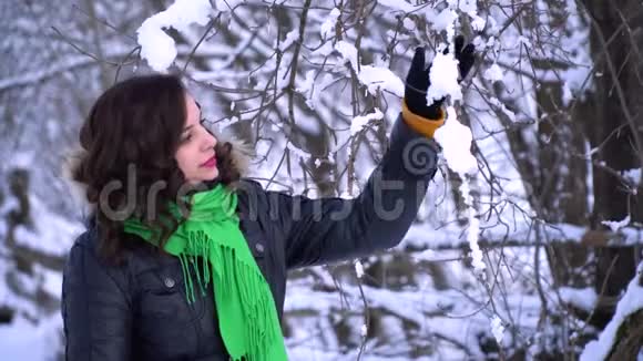 冬天森林里的年轻漂亮女孩女孩正看着白雪覆盖的树3她用手摸着雪白的树枝视频的预览图