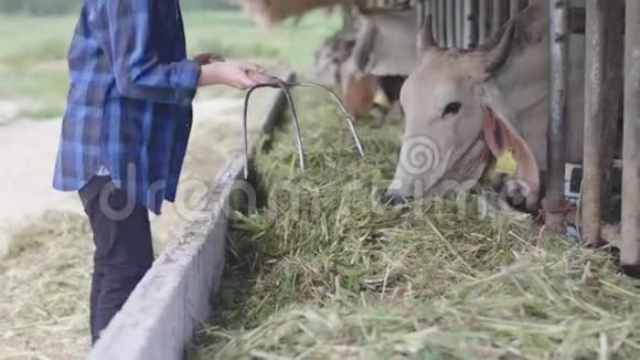 在农场工作的亚洲男孩视频的预览图