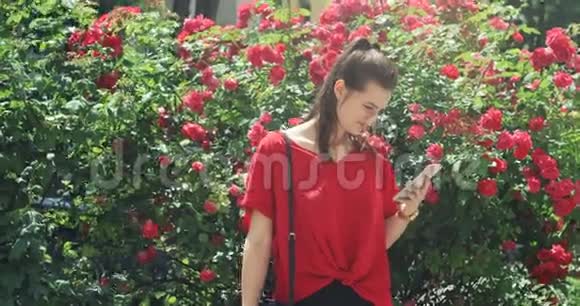 年轻聪明迷人的漂亮姑娘穿着红色上衣在智能手机上高兴地留言带玫瑰的灌木丛在城市视频的预览图