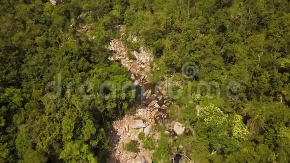 空中拍摄绿色森林里的岩石河来自飞行无人机山河和雨林的美丽景观野野野视频的预览图