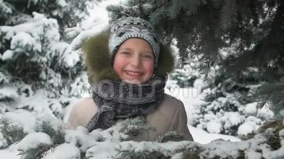 快乐的小女孩玩雪杉树枝冬天的森林美丽的风景视频的预览图