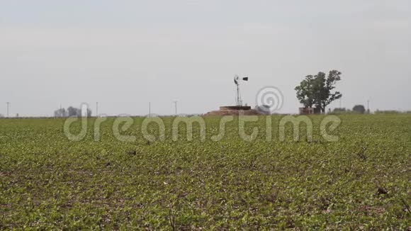 阿根廷农村的大豆种植视频的预览图