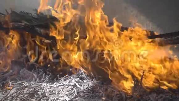 炉缸过火慢动的剖面图视频的预览图