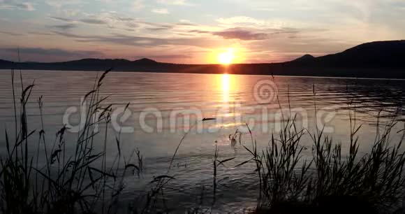 美丽的夏天日落在一个山湖上红日落山波浪向岸上奔流视频的预览图