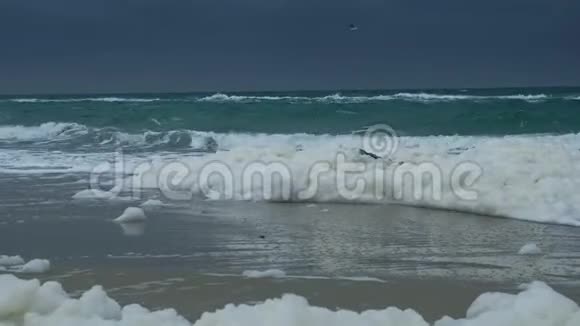近景的暴风雨波浪沿着海岸移动肮脏的海沫视频的预览图