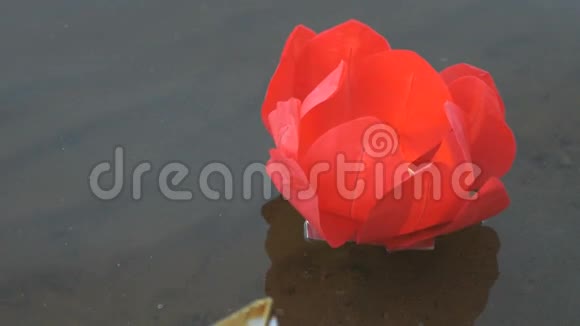 水上有蜡烛的红睡莲视频的预览图