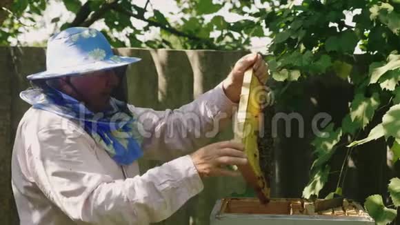 戴着面具的养蜂人在一个开放的蜂巢附近工作视频的预览图
