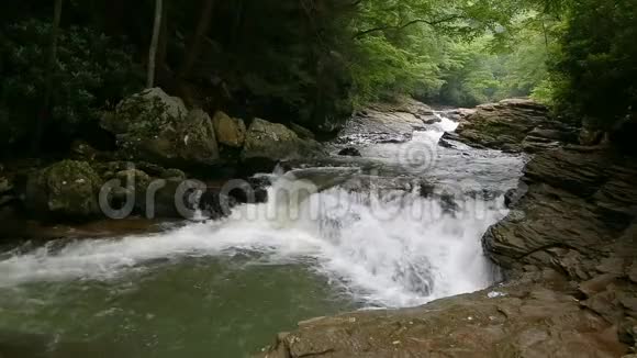 草地跑圈上的白水宾夕法尼亚州奥利奥派尔州立公园视频的预览图