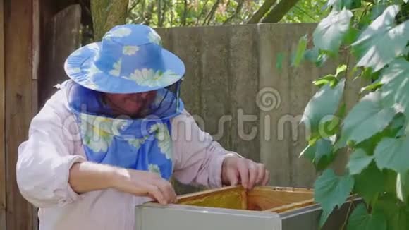 戴着面具的养蜂人在一个开放的蜂巢附近工作视频的预览图