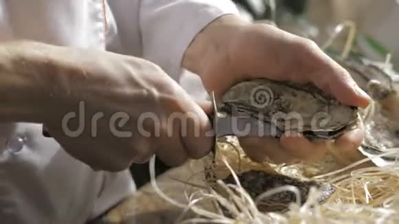 打开中空扁平的牡蛎厨师在餐厅开牡蛎视频的预览图