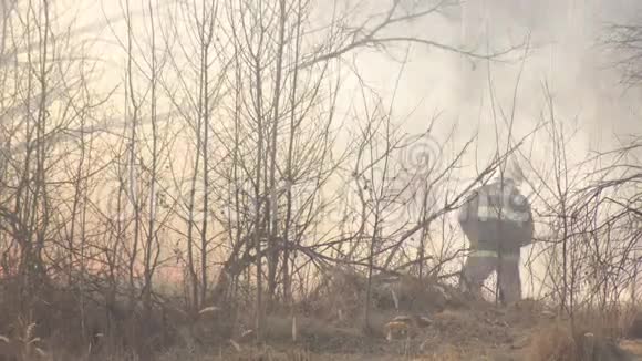 消防队员在火灾春季火灾危险期扑灭干草和燃烧的森林视频的预览图