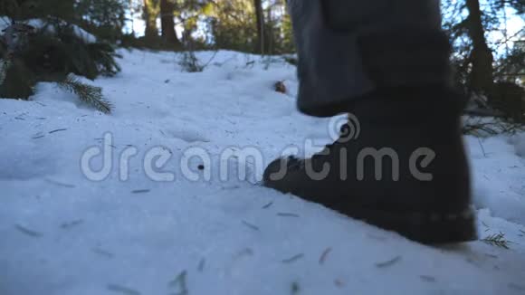 清晨在雪山森林上行走的面目全非的男子的双脚冬天爬雪坡的年轻徒步旅行者视频的预览图