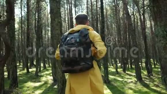 在绿秋森林里散步的人视频的预览图