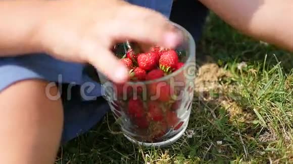 孩子坐在草坪上吃红浆果特写的手维多利亚花园视频的预览图