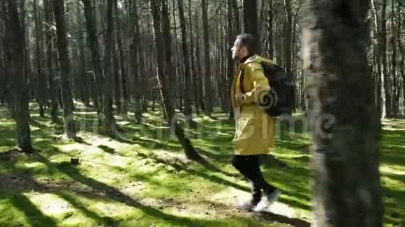 一个徒步旅行者走在阳光明媚的绿色森林里视频的预览图