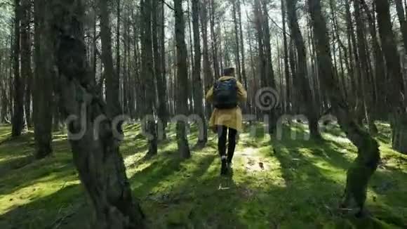 在绿秋森林里散步的人视频的预览图