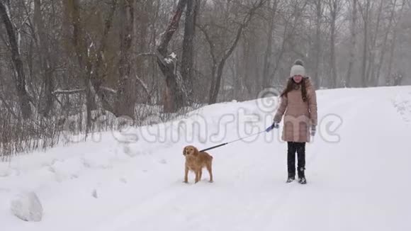 美丽的女孩正和狗在公园的冬天的路上散步动作缓慢视频的预览图