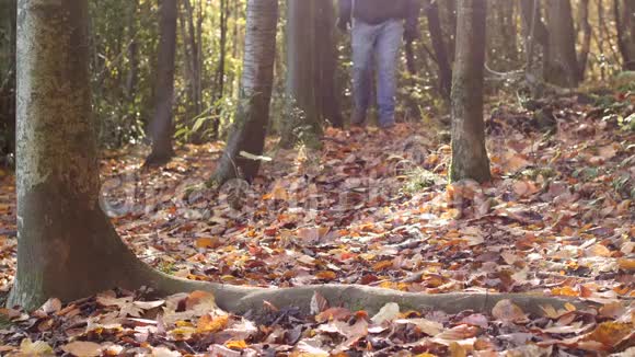 在秋天的森林里人们慢慢地走向镜头视频的预览图