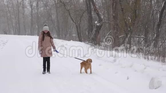 美丽的女孩正和狗在公园的冬天的路上散步动作缓慢视频的预览图