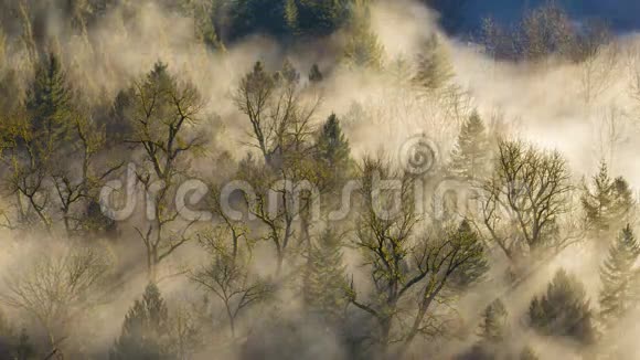超高清晰度4k时移电影厚滚雾从琼斯鲁德的观点靠近克罗克河视频的预览图