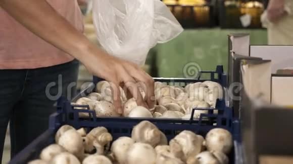 在杂货店生产部门挑选新鲜蘑菇的女人视频的预览图