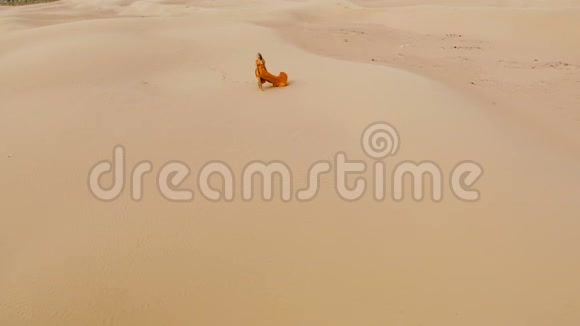 女人在巴克汉的沙漠里散步金色的女孩在阳光下的沙漠中走在沙丘上风吹乱了她的头发视频的预览图