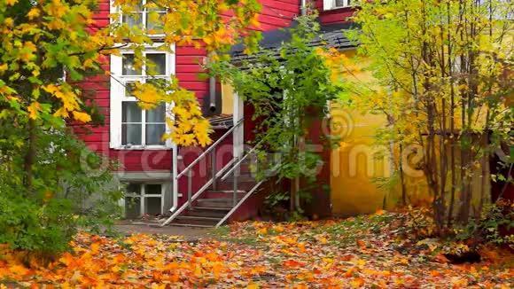 秋天的旧房子入口门廊和枫树视频的预览图