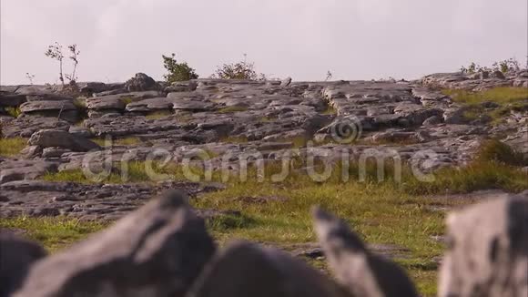 爱尔兰的岩石和草地地形视频的预览图