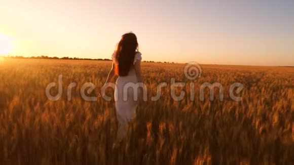 快乐的女孩长着长发在日落时穿过一片金黄的小麦的田野慢动作视频的预览图