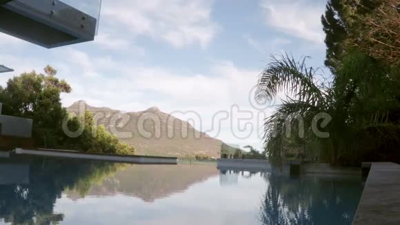 池的可爱景色视频的预览图