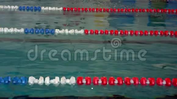 慢动作女运动员以爬行方式快速游泳视频的预览图