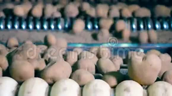 工厂机制是重新定位马铃薯块茎视频的预览图