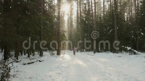 小女孩在冬日的树林里散步视频的预览图