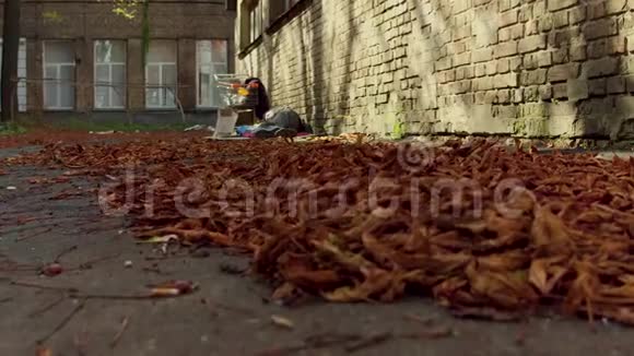 一片片落叶在地上一个无家可归的人睡在地上视频的预览图