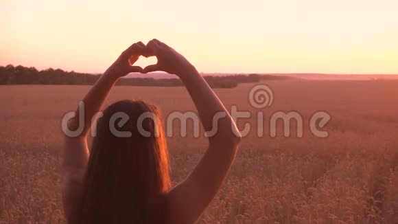 麦田里的女孩在夕阳下做心的象征视频的预览图