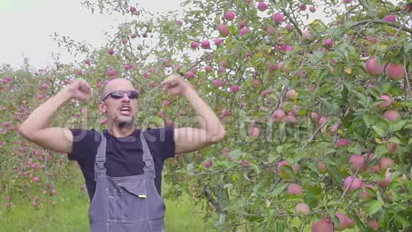 在苹果园里一个有趣的跳舞和跳跃的农民的慢动作拍摄幸福成功的农民在附近视频的预览图