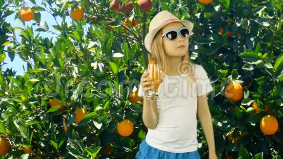 年轻的白种人女孩在橘子园和橘子树一起喝橙汁绿色花园夏日阳光明媚少女视频的预览图