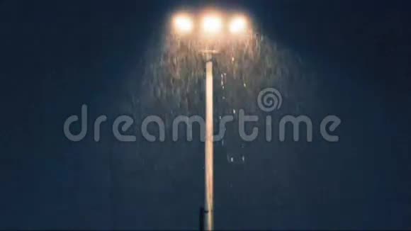 夜雨配灯视频的预览图