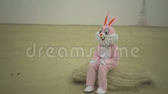 复活节兔子坐在沙漠的石头上用膝盖拍手穿着粉色兔子装的疯子或疯子坐在上面视频的预览图